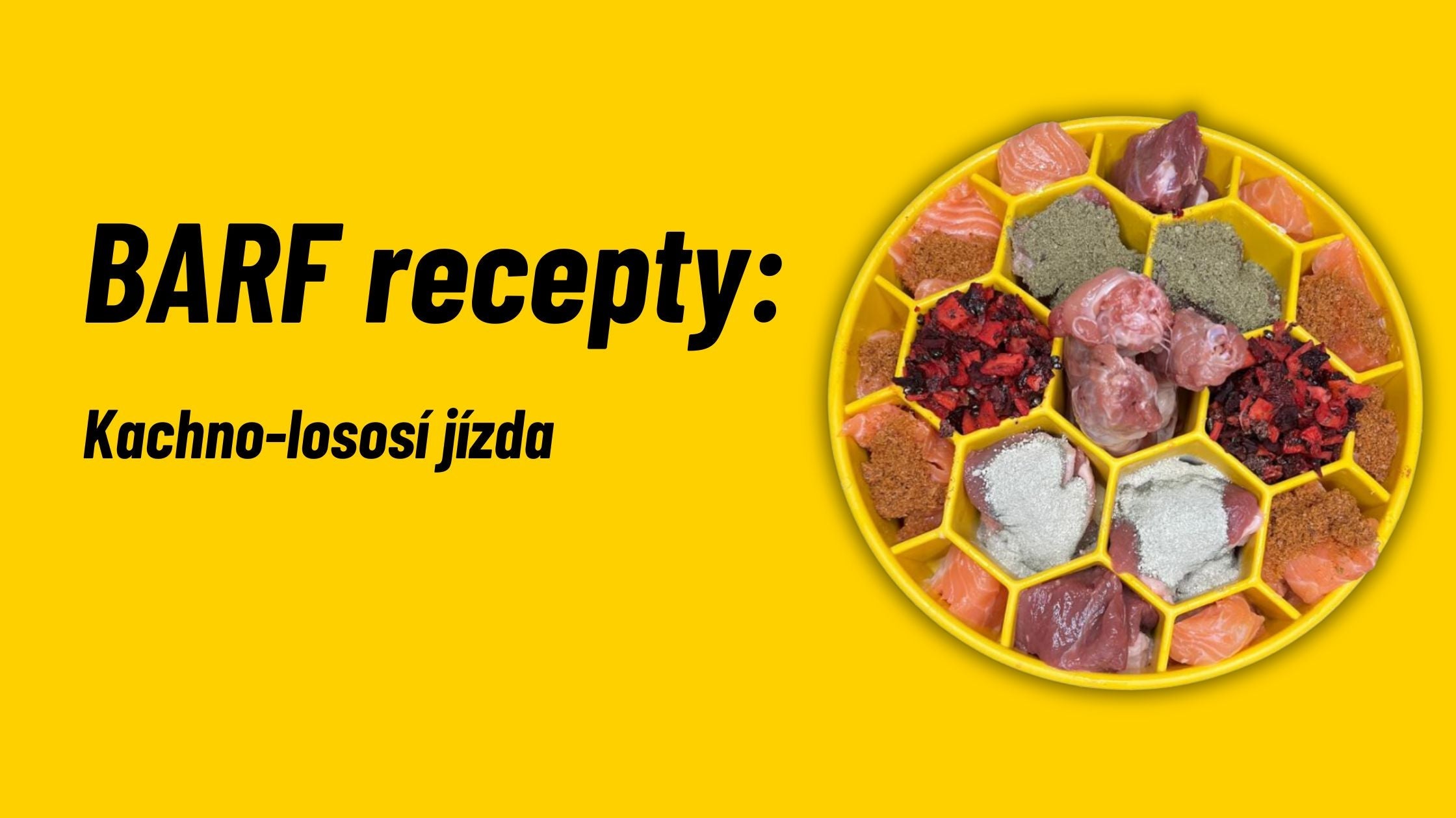 BARF recept: Kachno-lososí jízda