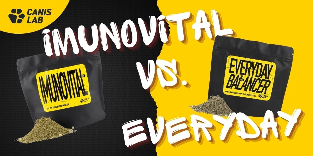 Imunovital vs. Everyday: Který vybrat pro tvého psa?
