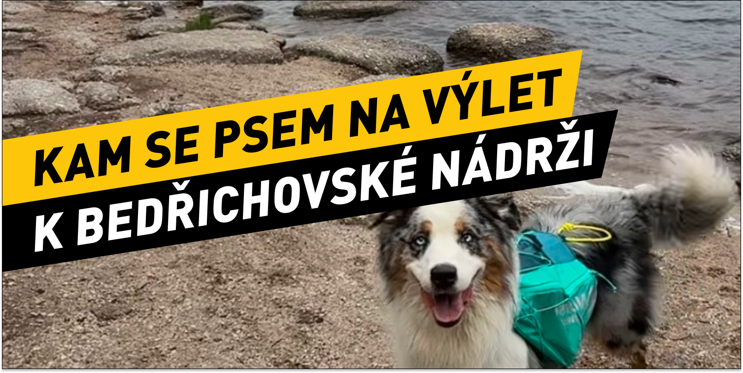 K Bedřichovské nádrži: Jizerská oáza klidu, panoramat a plavání pro aktivní psíky