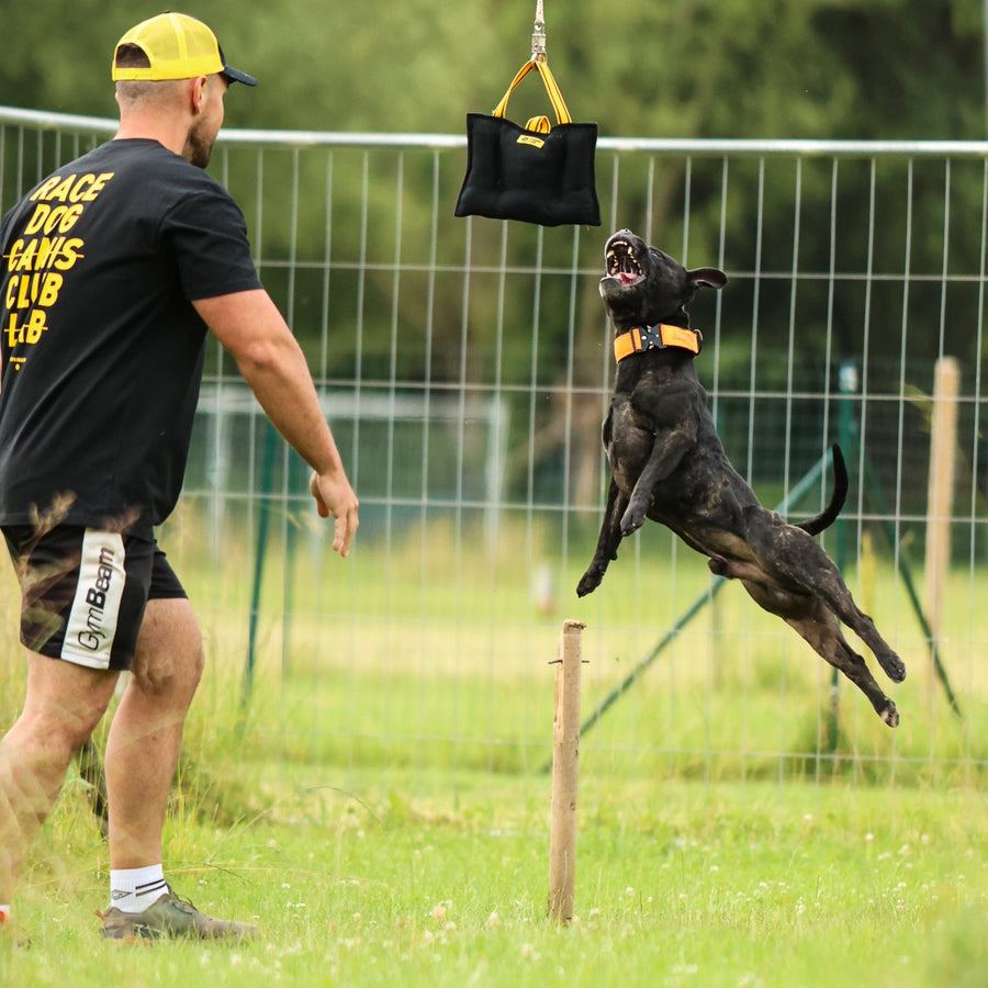 Bulldozer | Předtréninkový drink pro bull sporty zvyšující svalovou sílu, výbušnost a ochranu před křečemi