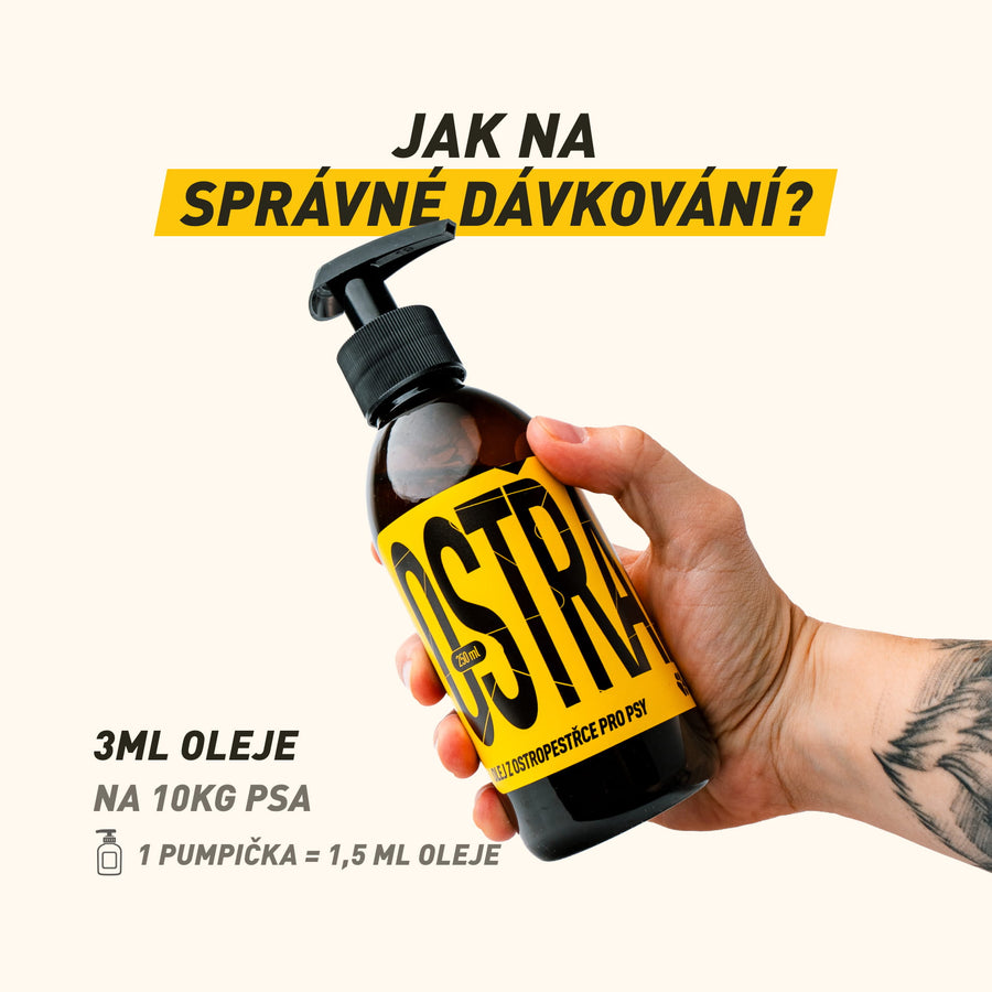 Ostřák | 100% ostropestřecový olej pro přirozenou detoxikaci jater a lepší trávení bez plynatosti