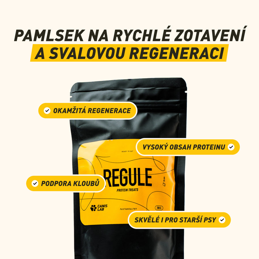 REGULE | Proteinový pamlsek pro psy | 200 g