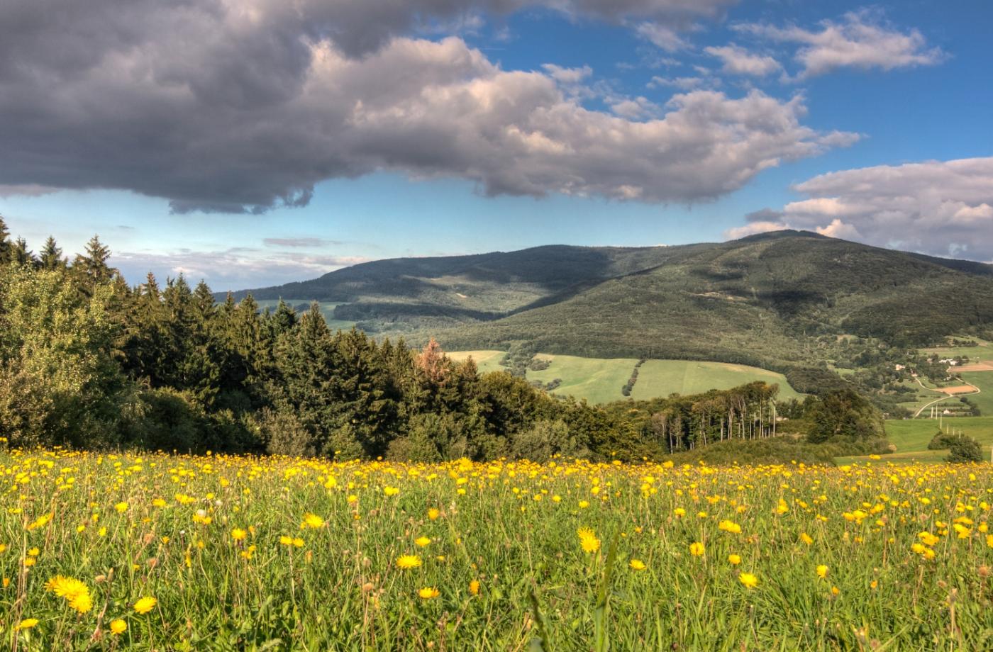 Kam na výlet se psem: Bíle Karpaty - Nová Lhota (18 km)