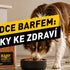 Průvodce BARFem: Od prvního krmení po spokojeného psa