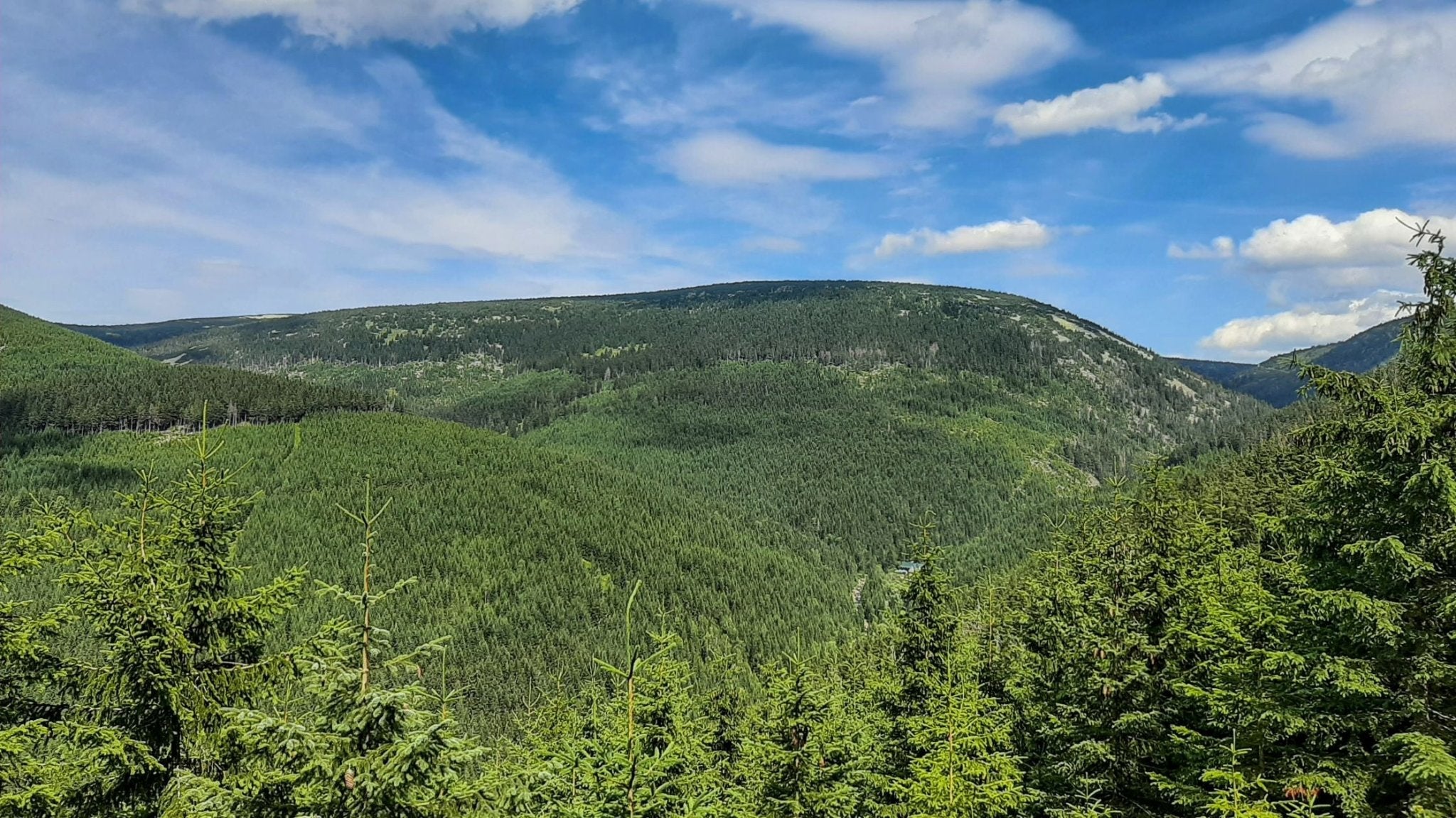 Kam na výlet se psem: Krkonoše - Špindl - Bouda Bílé Labe (13 km)