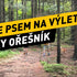 Kam se psem na výlet v Jizerkách - Velký Ořešník