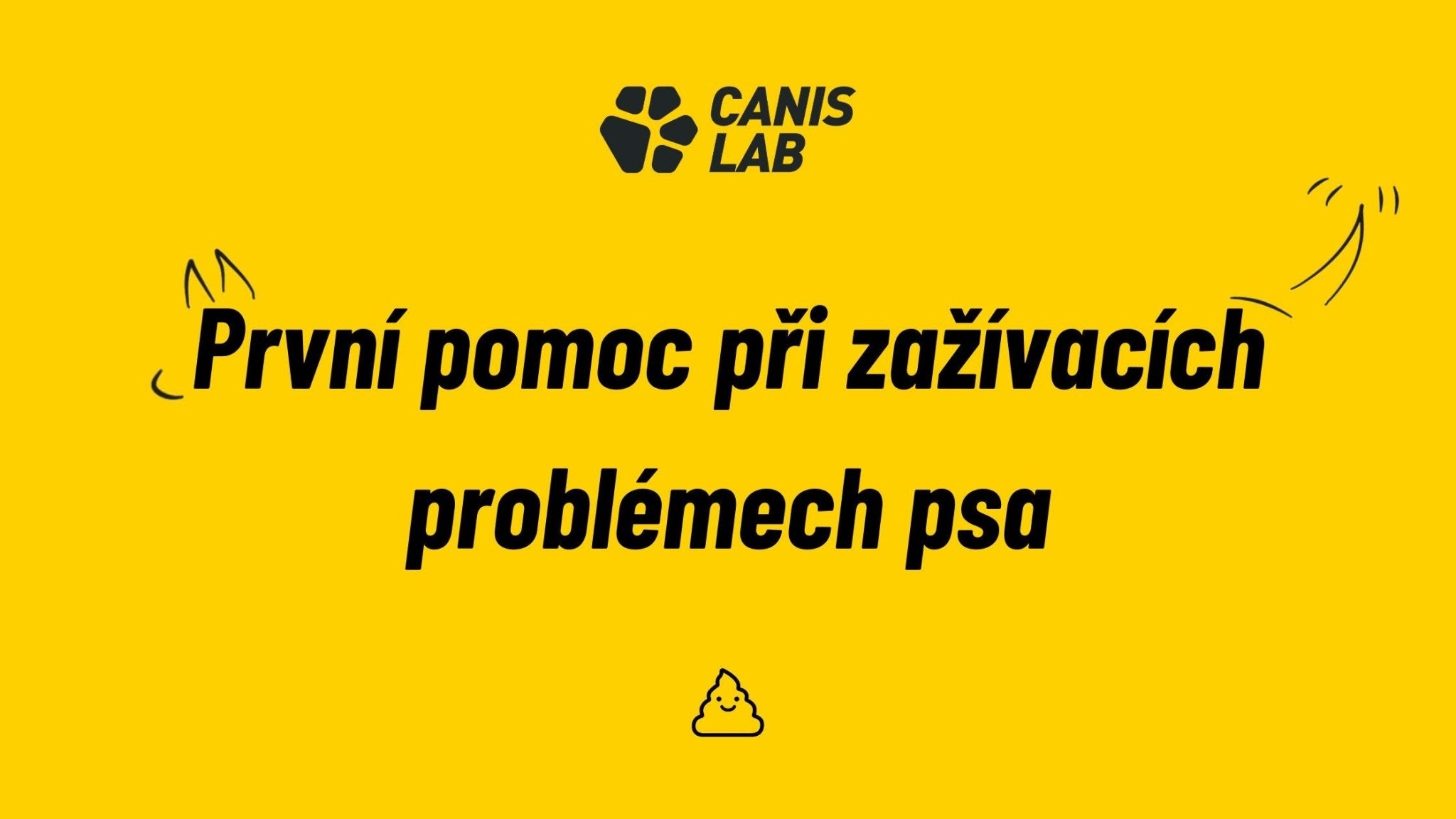 První pomoc při zažívacích problémech psů. Hlavně v létě.