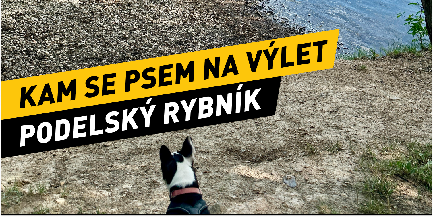 Kam za stínem a koupáním v Praze