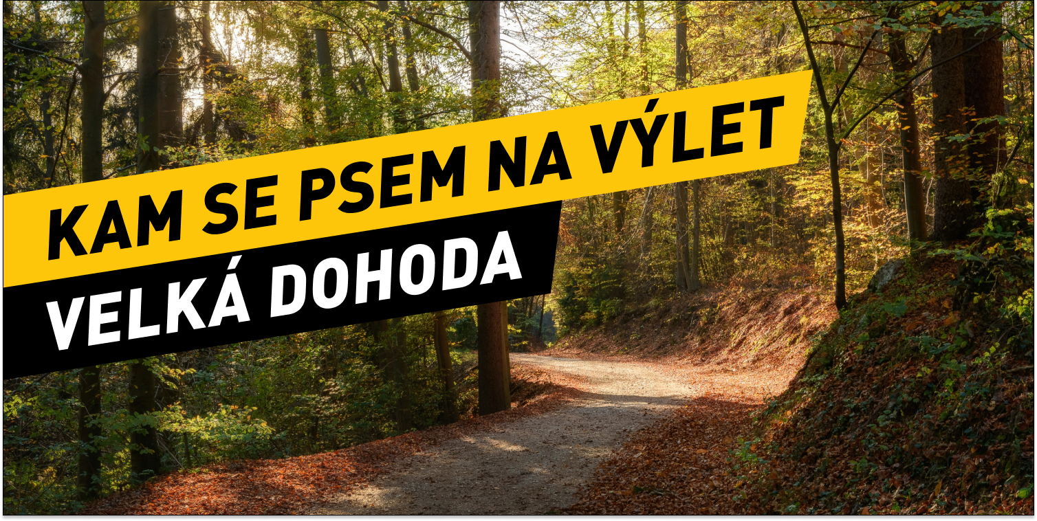 Kam na výlet se psem v Olomouckém kraji