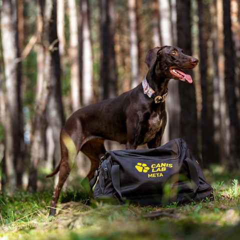 Canis Lab sportovní taška | Custom design