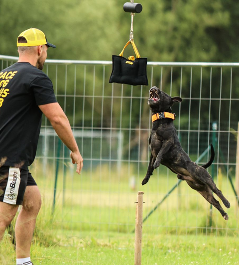Bull polštář pro psy | Vybavení pro Bull sporty | Klínový pešek