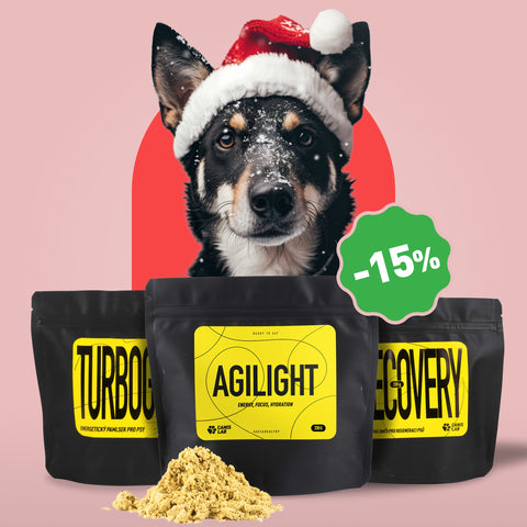 Balíček pro Agility | Výhodné balení