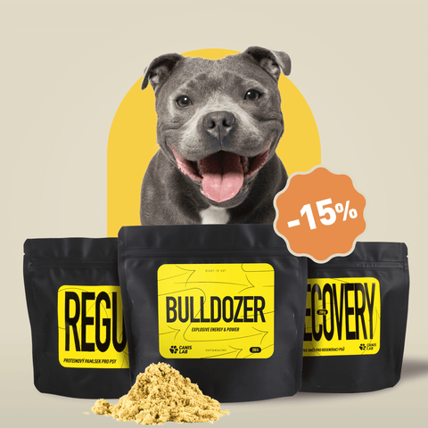 Balíček pro BULL sporty | Výhodné balení