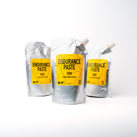 Endurance Paste | Nekonečná energie pro psy | 150 g