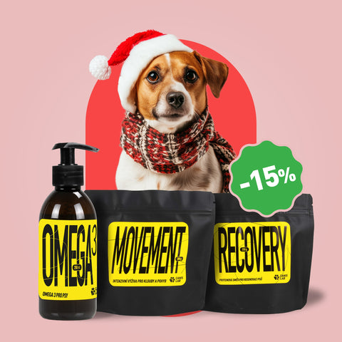 Balíček pro zdravé klouby a kosti | Výhodné balení