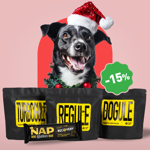 Balíček pamlsků | Výhodné balení