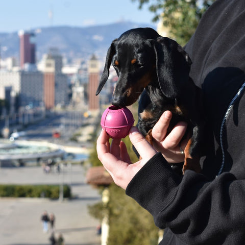 Dog ball | Plnící míček pro psy - tvrdý | Rucan