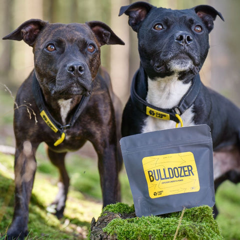 Bulldozer | Energie, výbušnost a síla | Pro bull sporty