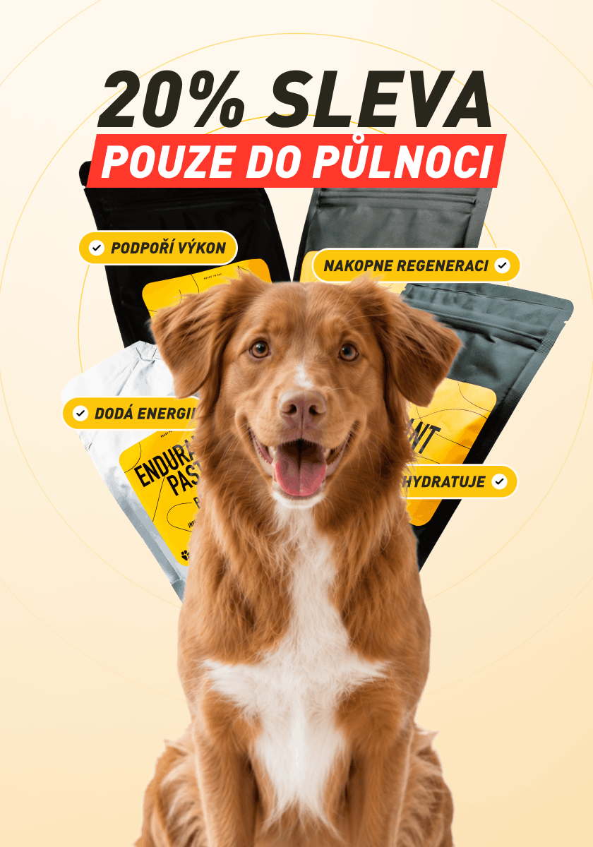 Použij kód NS20 a využij 20% slevu — Jen do dnešní půlnoci!