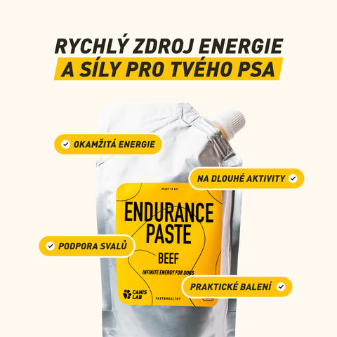 Endurance Paste | Nekonečná energie pro psy | 150 g