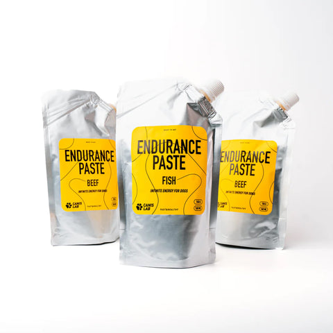 Endurance Paste | Nekonečná energie pro psy | 150 g