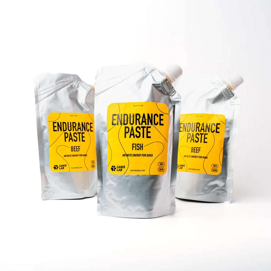 Endurance Paste | Energetická pasta pro okamžité dodání síly a výdrže při dlouhé zátěži