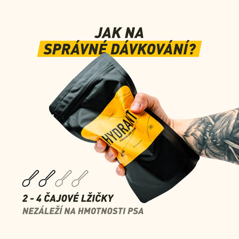 Hydrant | Pro optimální hydrataci, doplnění minerálů a ochranu psa před přehřátím v horku a na túrách