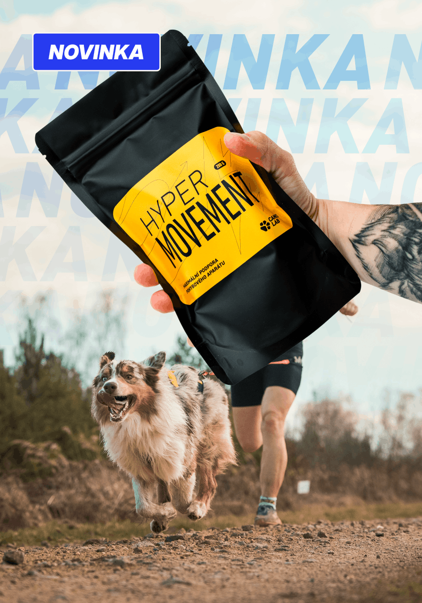 Hypermovement — Nová komplexní kloubní výživa