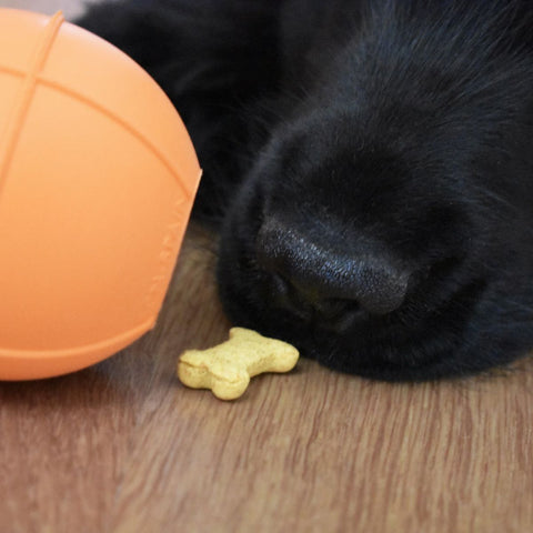 Dog ball | Plnící míček pro psy - středně tvrdý | Rucan