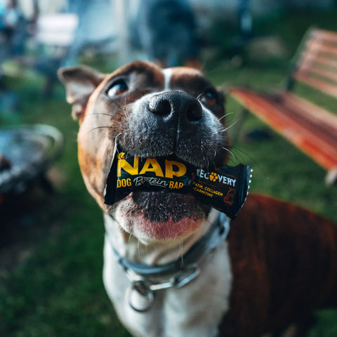 Balíček Turbogule + 3 NAP Recovery | Výhodné balení