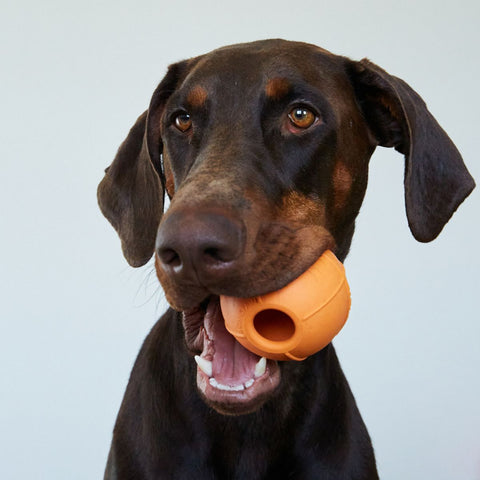 Dog ball | Plnící míček pro psy - středně tvrdý | Rucan