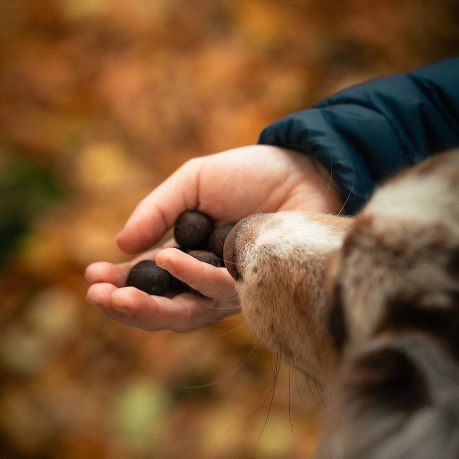 Girl holding Regule dog treats in her hand.
