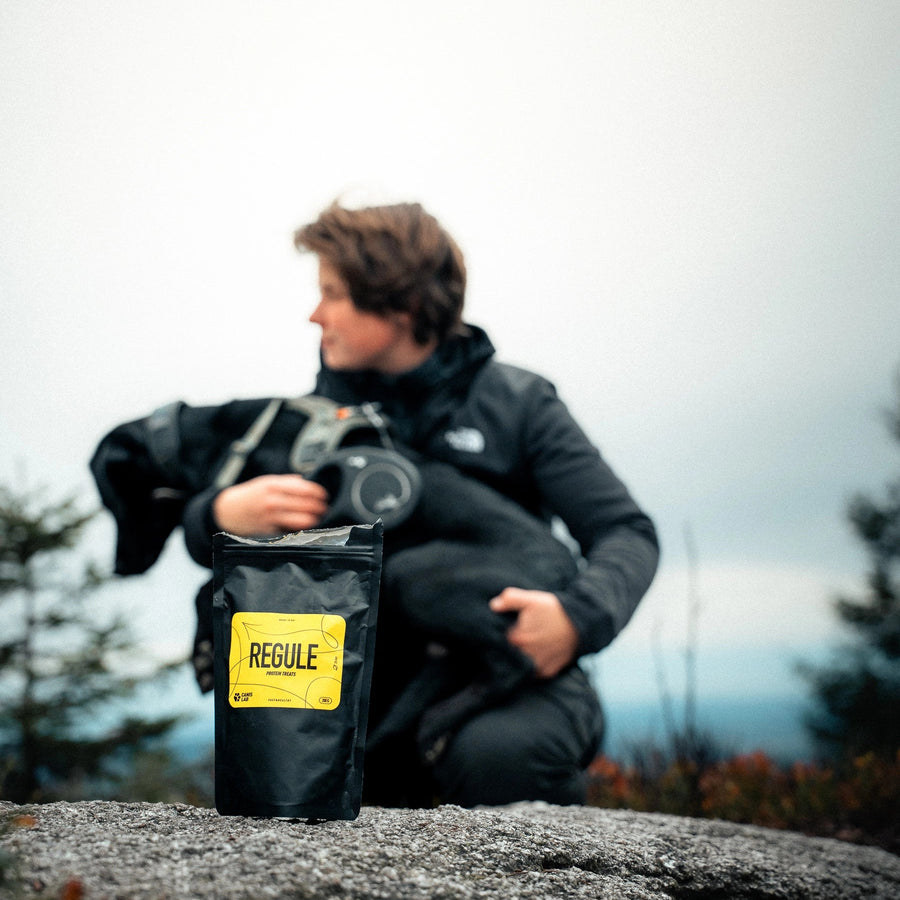 Regule dog treat pouch standing on a rock, with girl and her black labrador blurred behind in the background