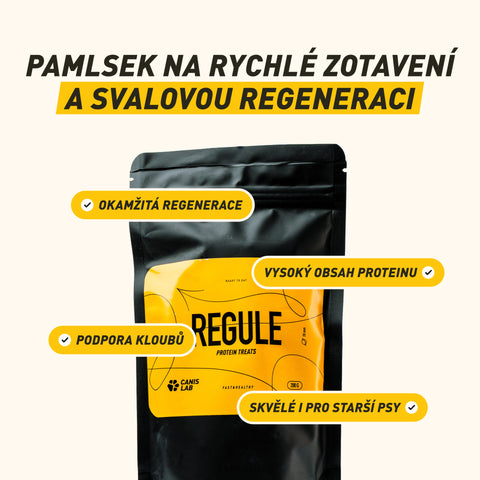 REGULE | Proteinový pamlsek pro psy | 200 g