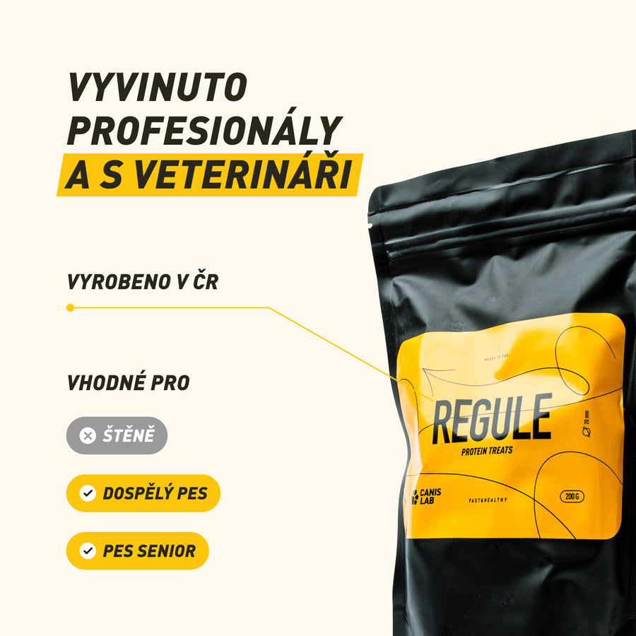 REGULE | Proteinový pamlsek pro psy | 200 g