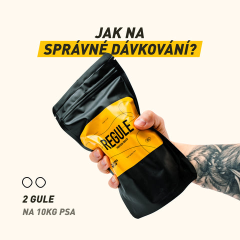 REGULE | Proteinový pamlsek pro psy | 200 g